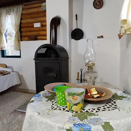 Brvnara Gromki - Mountain House 別荘 *