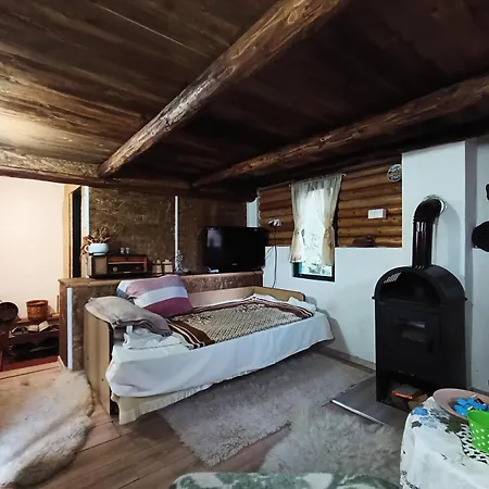 Prázdninový dům Brvnara Gromki - Mountain House